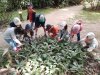 09