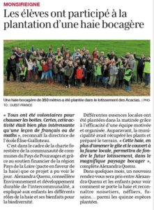 Plantations des arbres